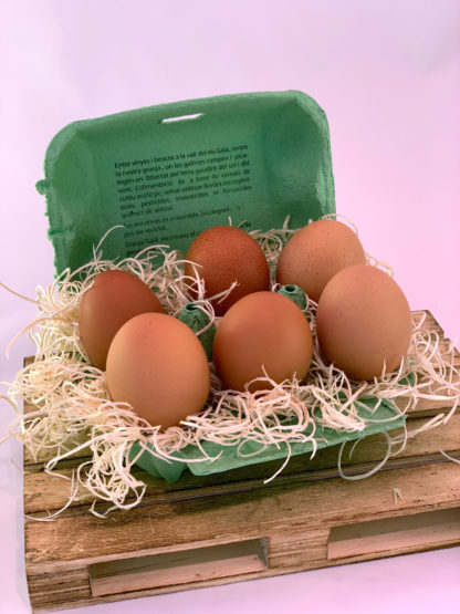 Huevos Ecológicos 6 Und.